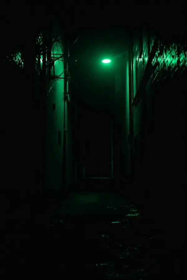 蕉果短剧官网《暗夜追光者》封面